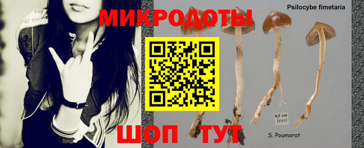 Берёзовский  Галлюциногенные грибы мухоморы  Вход с VPN 